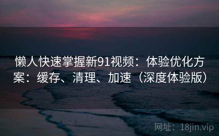 懒人快速掌握新91视频:体验优化方案:缓存、清理、加速(深度体验版)