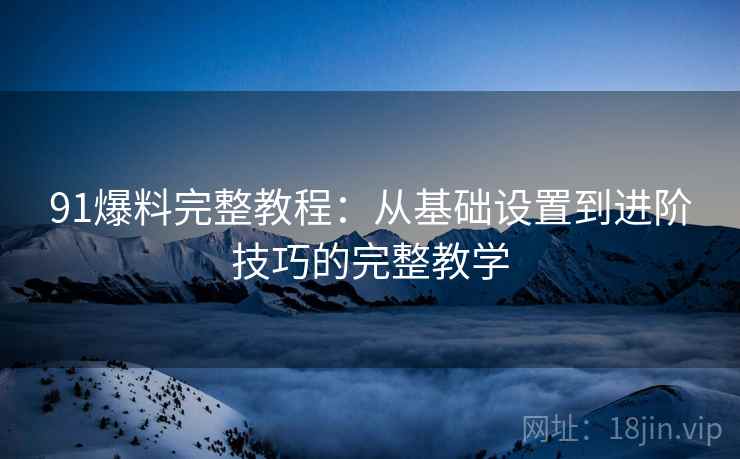 91爆料完整教程:从基础设置到进阶技巧的完整教学