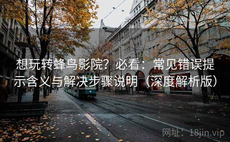 想玩转蜂鸟影院?必看:常见错误提示含义与解决步骤说明(深度解析版)
