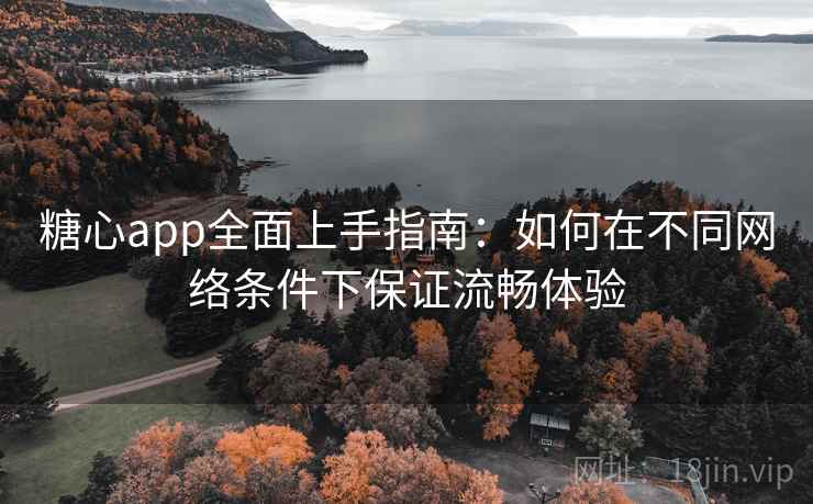 糖心app全面上手指南：如何在不同网络条件下保证流畅体验
