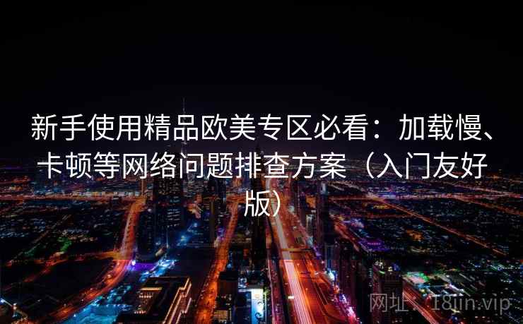 新手使用精品欧美专区必看：加载慢、卡顿等网络问题排查方案（入门友好版）
