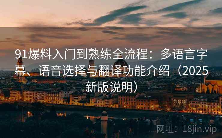 91爆料入门到熟练全流程：多语言字幕、语音选择与翻译功能介绍（2025新版说明）  第2张