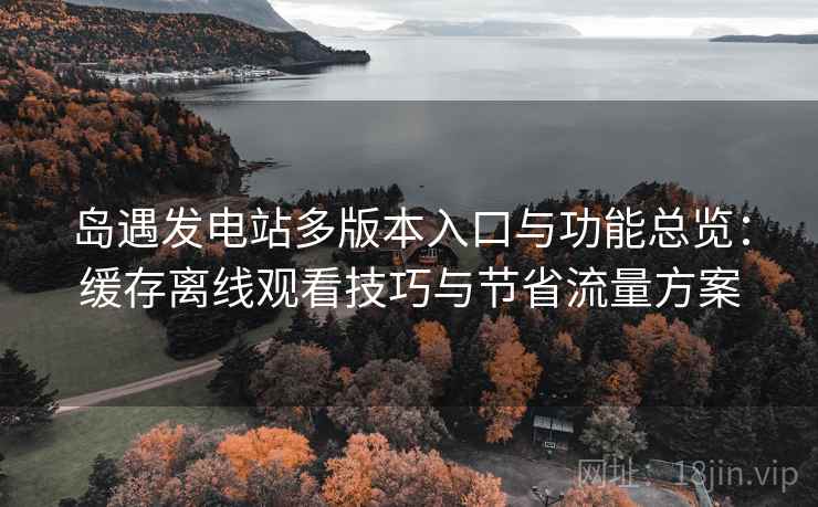 岛遇发电站多版本入口与功能总览：缓存离线观看技巧与节省流量方案