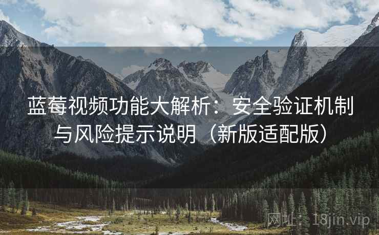 蓝莓视频功能大解析:安全验证机制与风险提示说明(新版适配版)