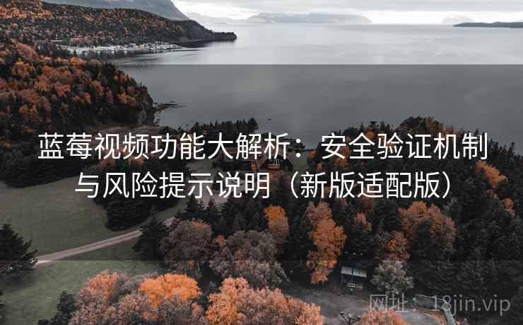 蓝莓视频功能大解析:安全验证机制与风险提示说明(新版适配版)