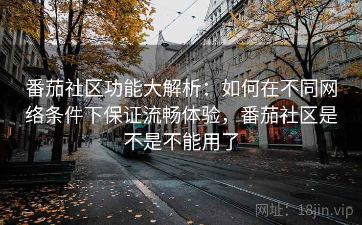 番茄社区功能大解析:如何在不同网络条件下保证流畅体验,番茄社区是不是不能用了