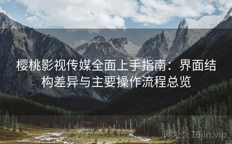樱桃影视传媒全面上手指南:界面结构差异与主要操作流程总览