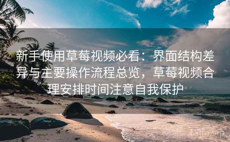 新手使用草莓视频必看：界面结构差异与主要操作流程总览，草莓视频合理安排时间注意自我保护