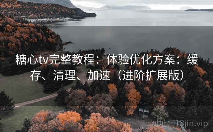 糖心tv完整教程:体验优化方案:缓存、清理、加速(进阶扩展版) 第2张 糖心tv完整教程:体验优化方案:缓存、清理、加速(进阶扩展版) 第2张