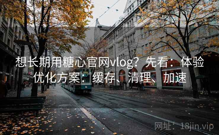 想长期用糖心官网vlog?先看:体验优化方案:缓存、清理、加速