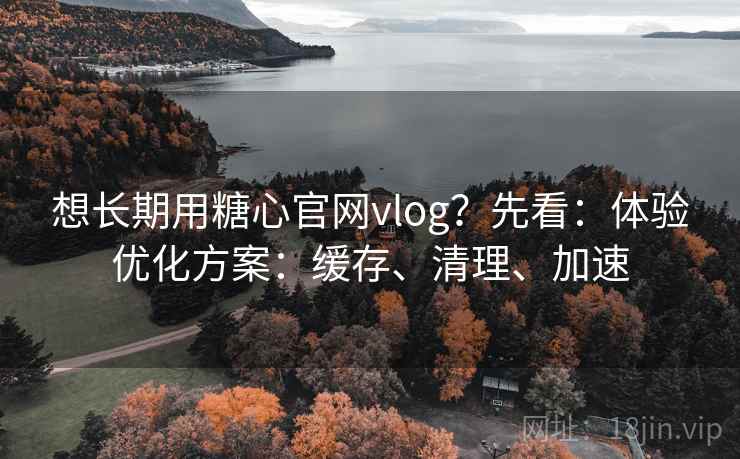 想长期用糖心官网vlog?先看:体验优化方案:缓存、清理、加速