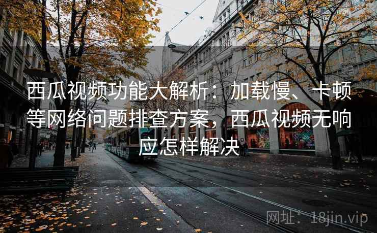 西瓜视频功能大解析:加载慢、卡顿等网络问题排查方案,西瓜视频无响应怎样解决
