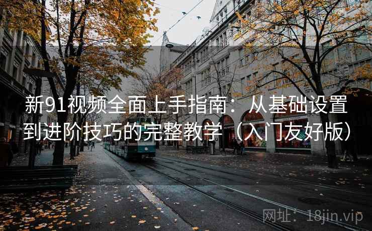新91视频全面上手指南:从基础设置到进阶技巧的完整教学(入门友好版)