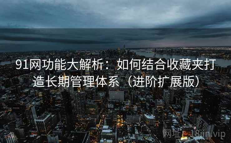 91网功能大解析：如何结合收藏夹打造长期管理体系（进阶扩展版）  第2张