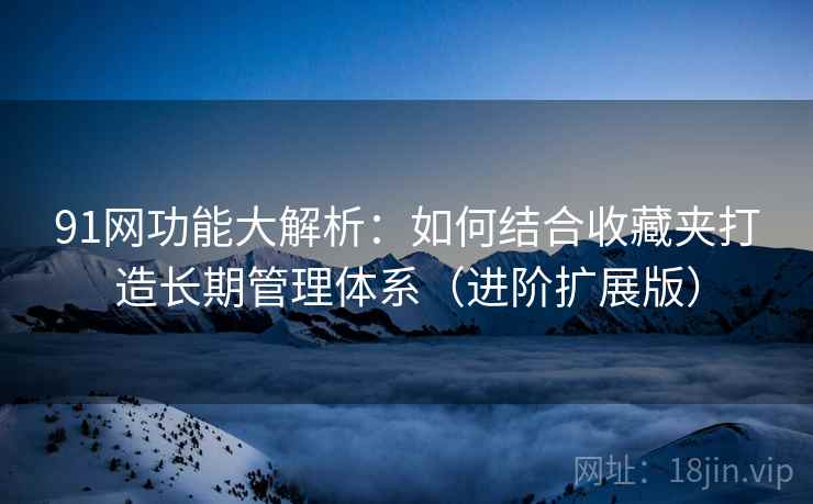 91网功能大解析：如何结合收藏夹打造长期管理体系（进阶扩展版）  第1张