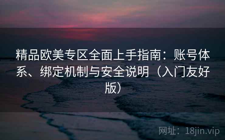 精品欧美专区全面上手指南：账号体系、绑定机制与安全说明（入门友好版）